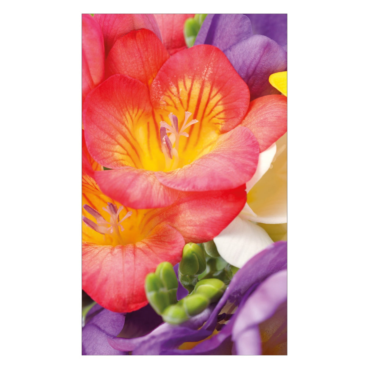 Duschrückwand nach maß