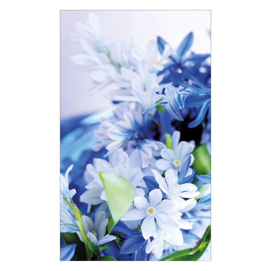 Duschrückwand nach maß