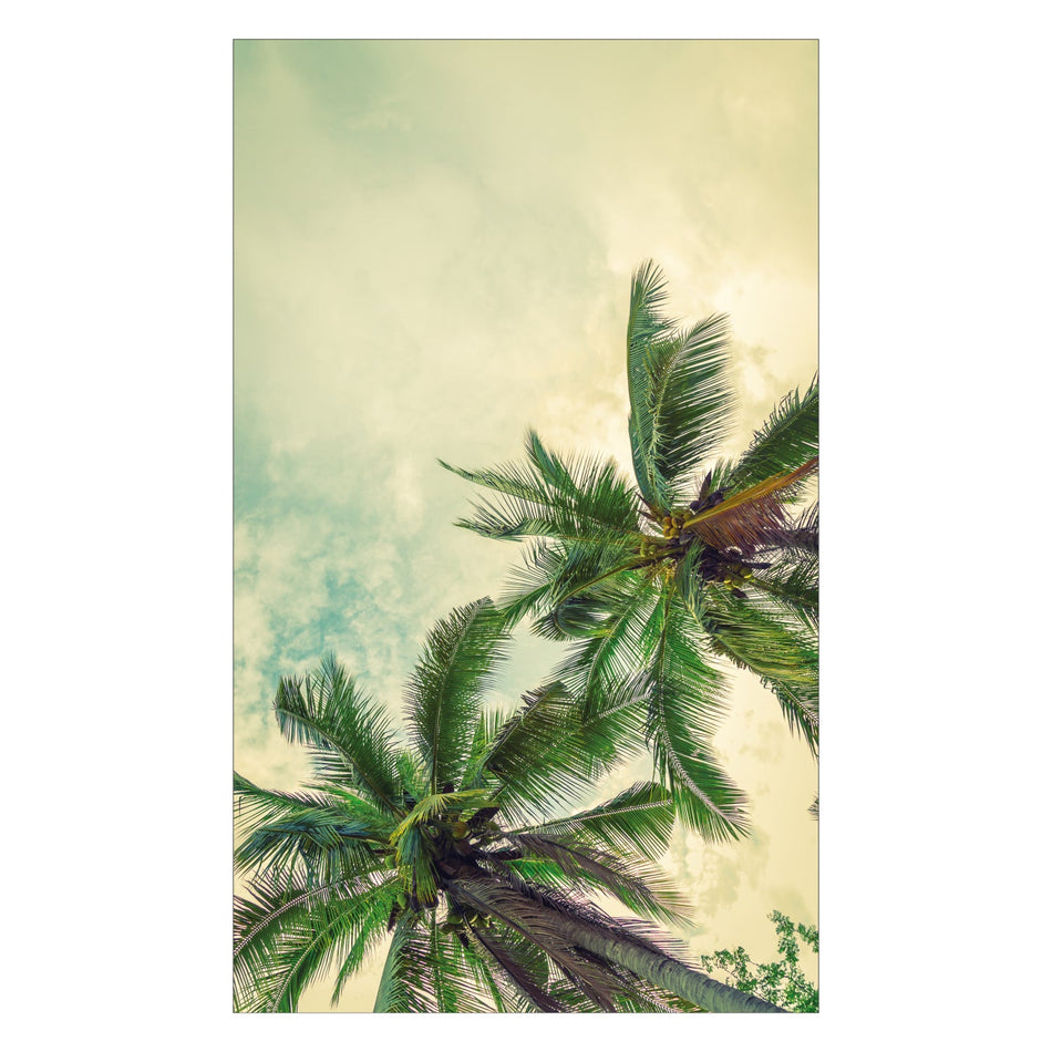 Duschrückwand nach maß