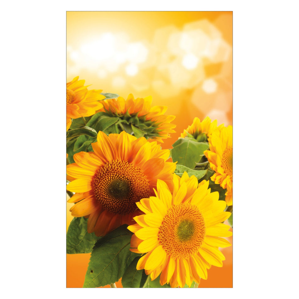 Duschrückwand nach maß