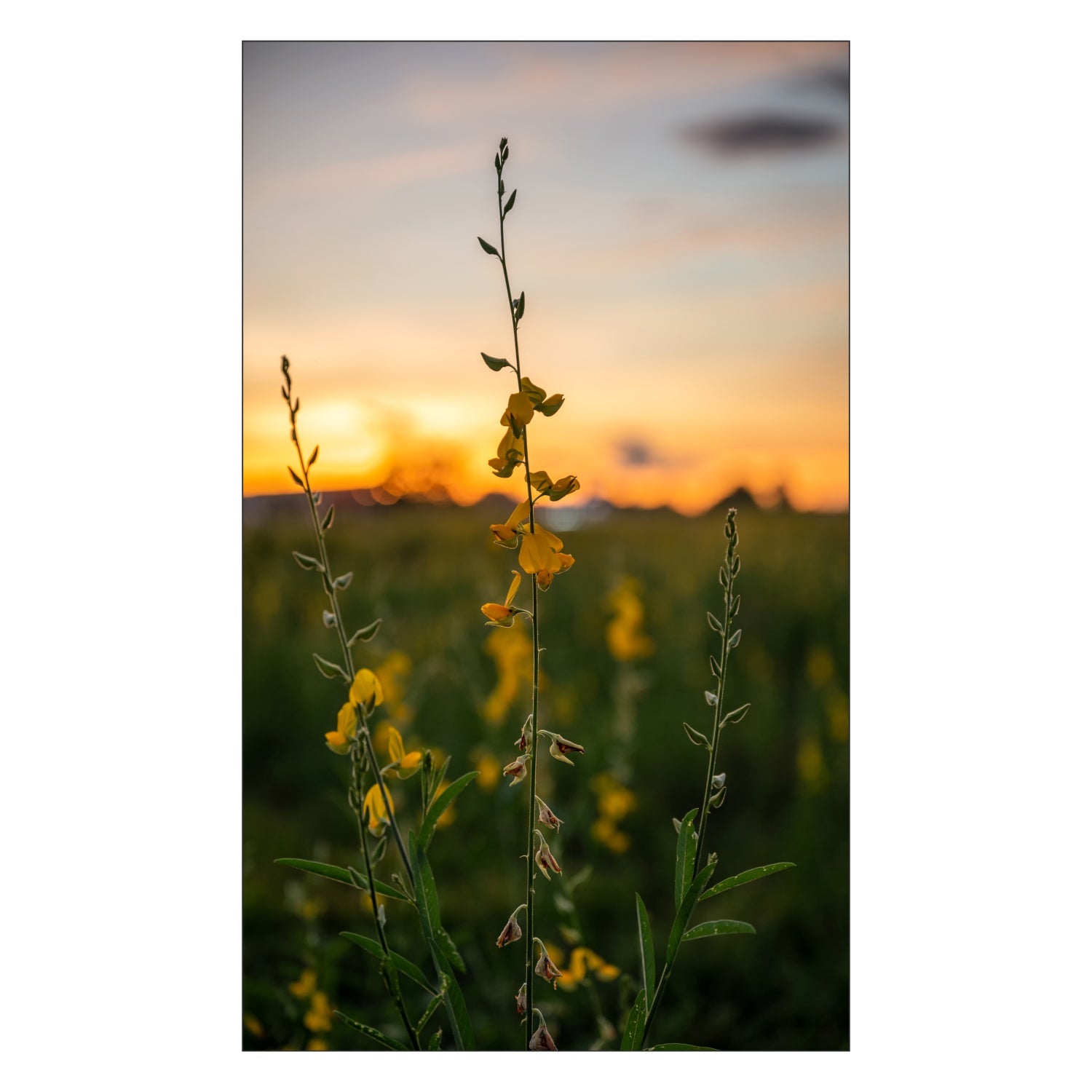 Toilettenrückwand nach maß