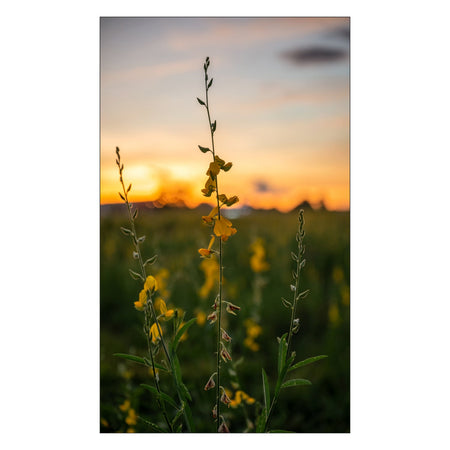Toilettenrückwand nach maß