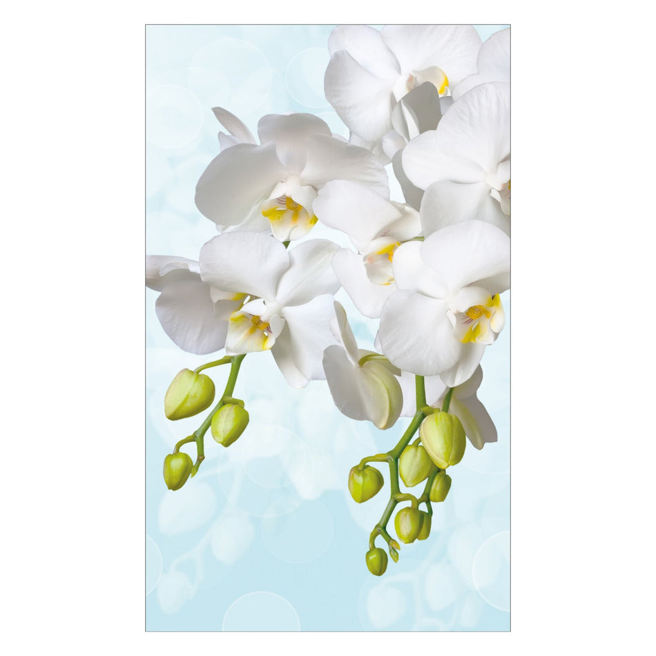 Duschrückwand nach maß