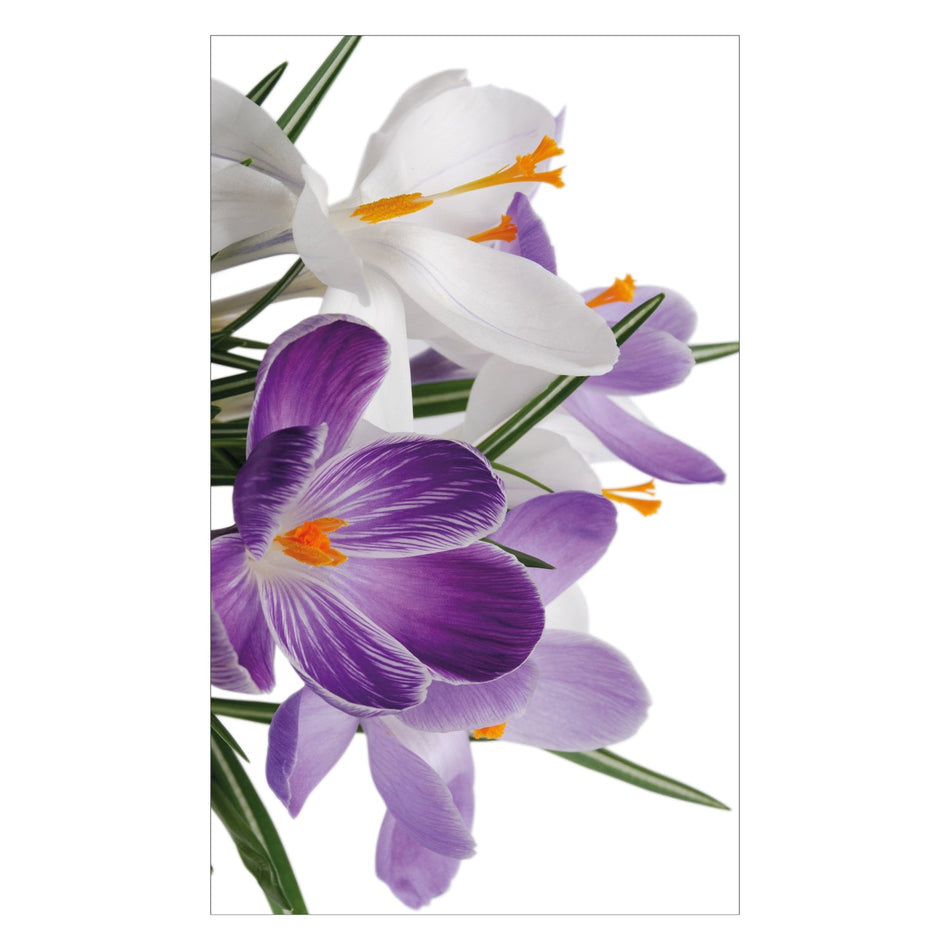 Duschrückwand nach maß