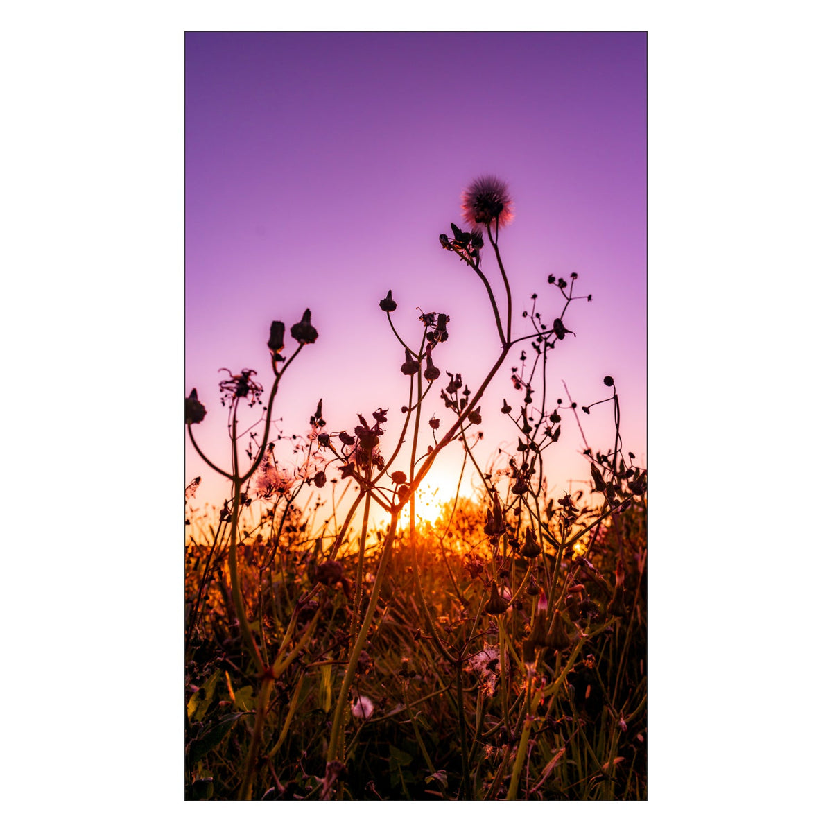 Toilettenrückwand nach maß