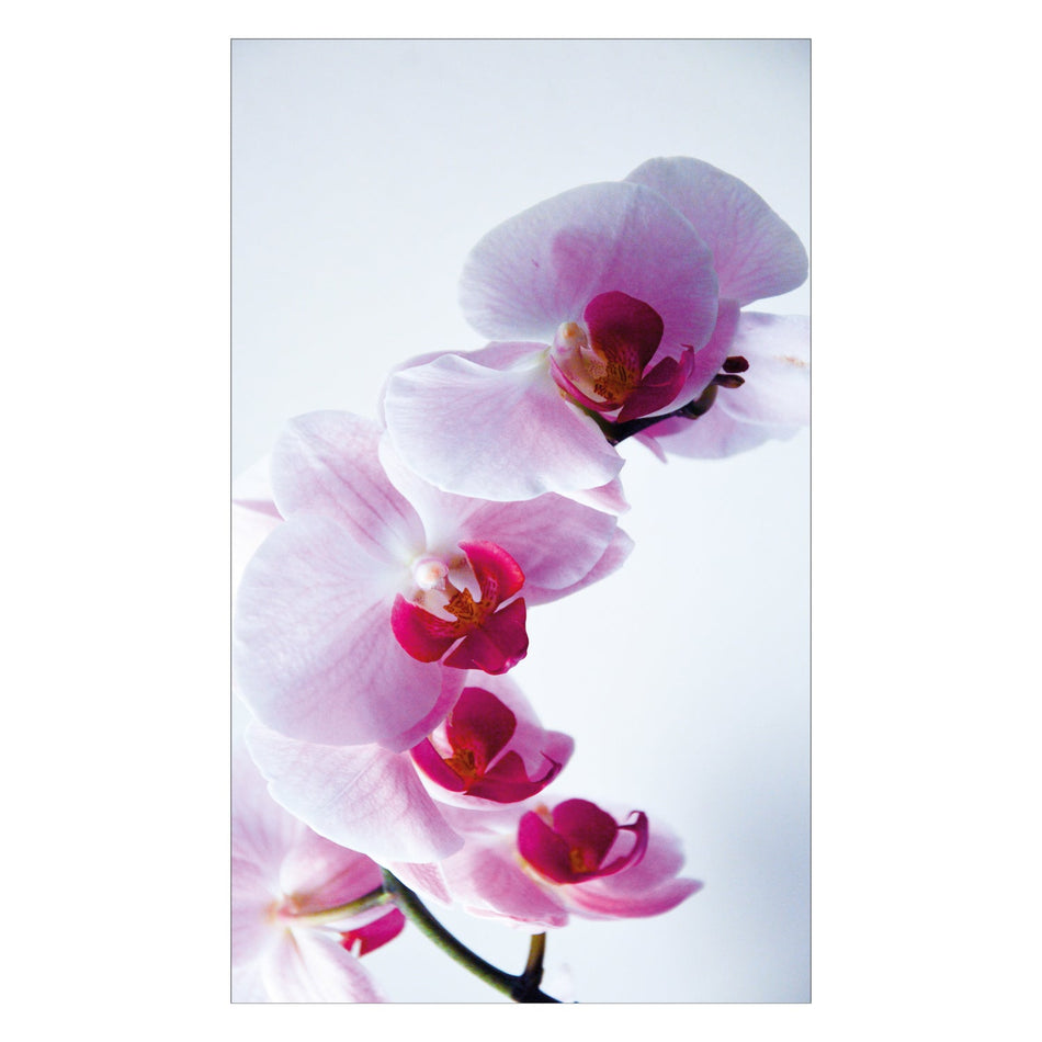 Duschrückwand nach maß