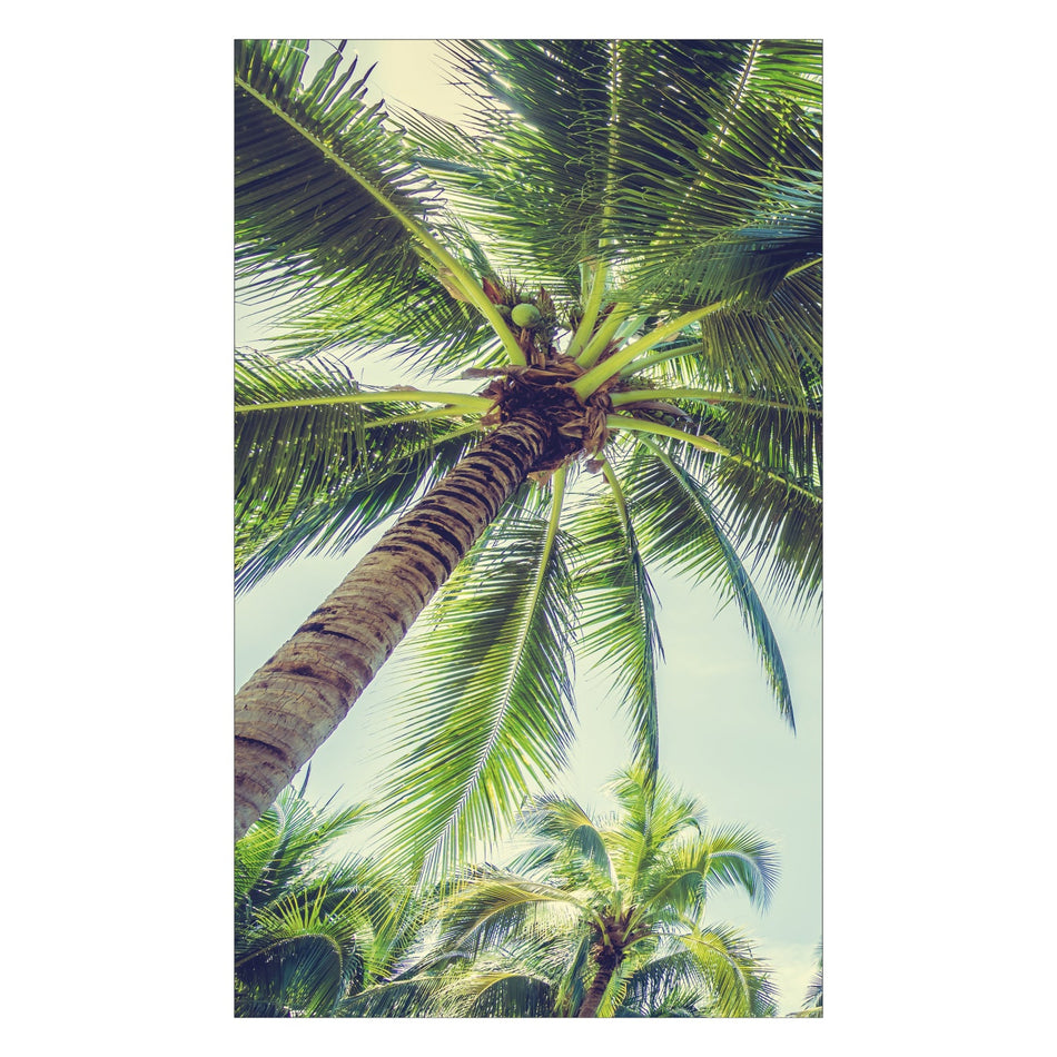 Duschrückwand nach maß