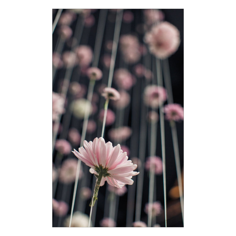 Duschrückwand nach maß