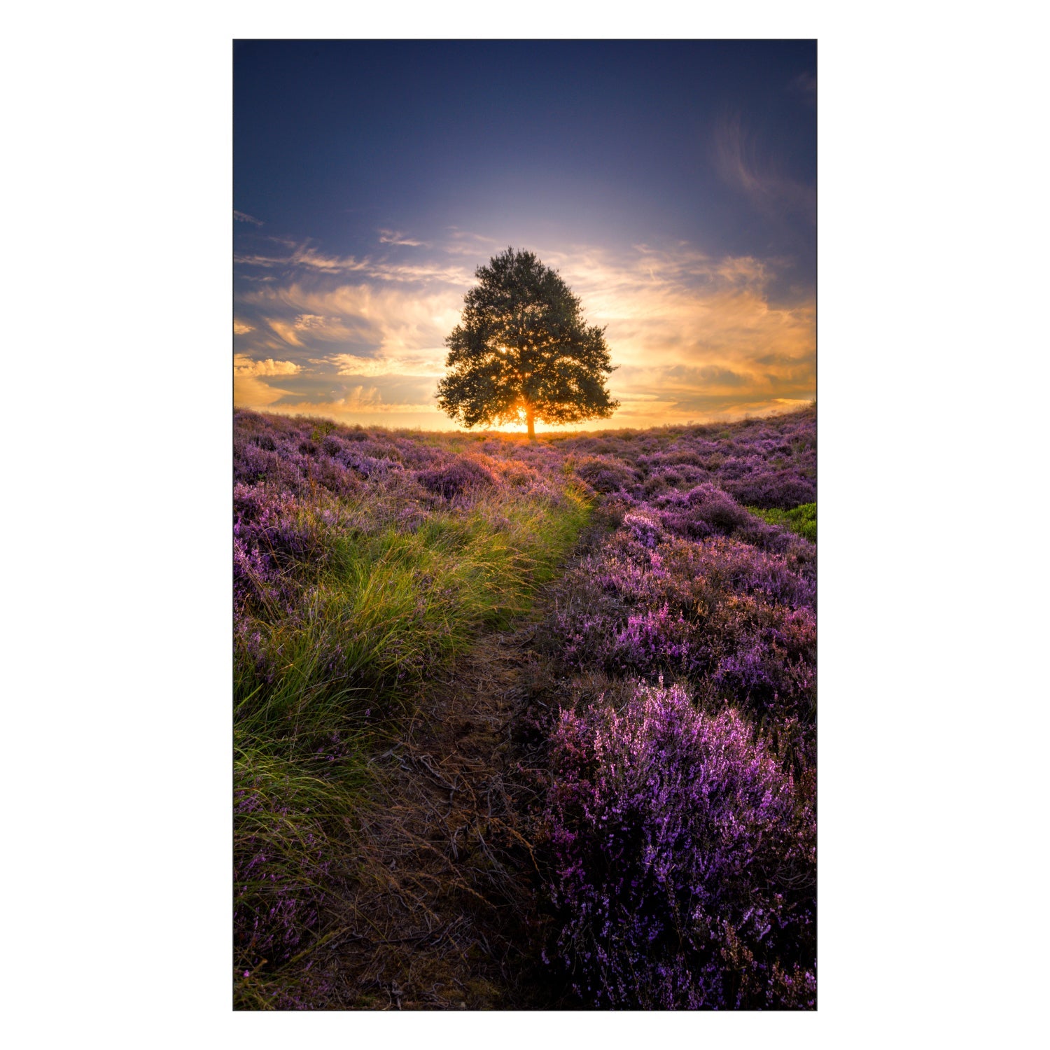 Toilettenrückwand nach maß