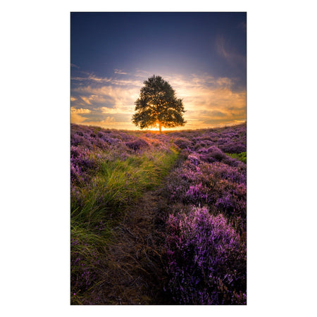 Toilettenrückwand nach maß