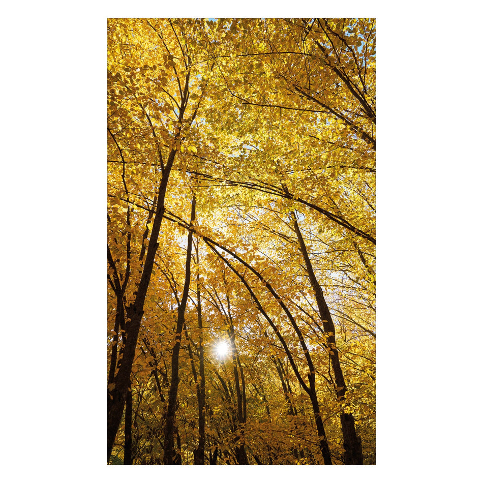 Duschrückwand nach maß