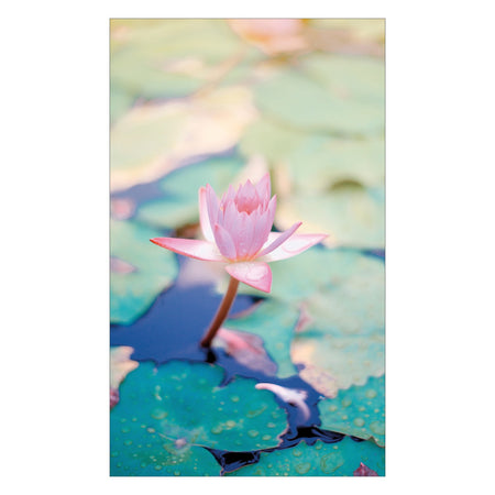 Duschrückwand nach maß