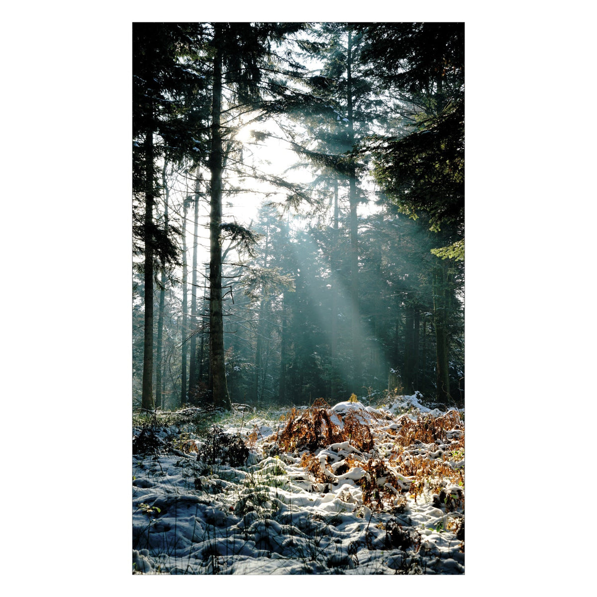 Duschrückwand nach maß