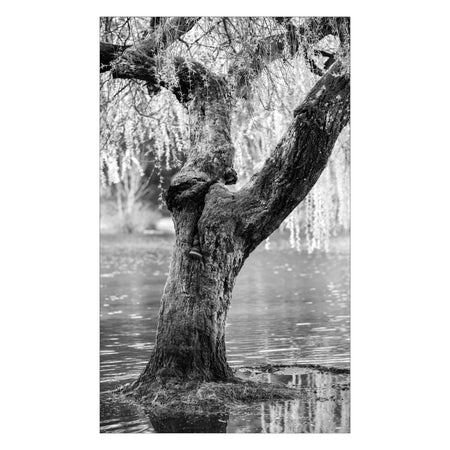 Duschrückwand nach maß