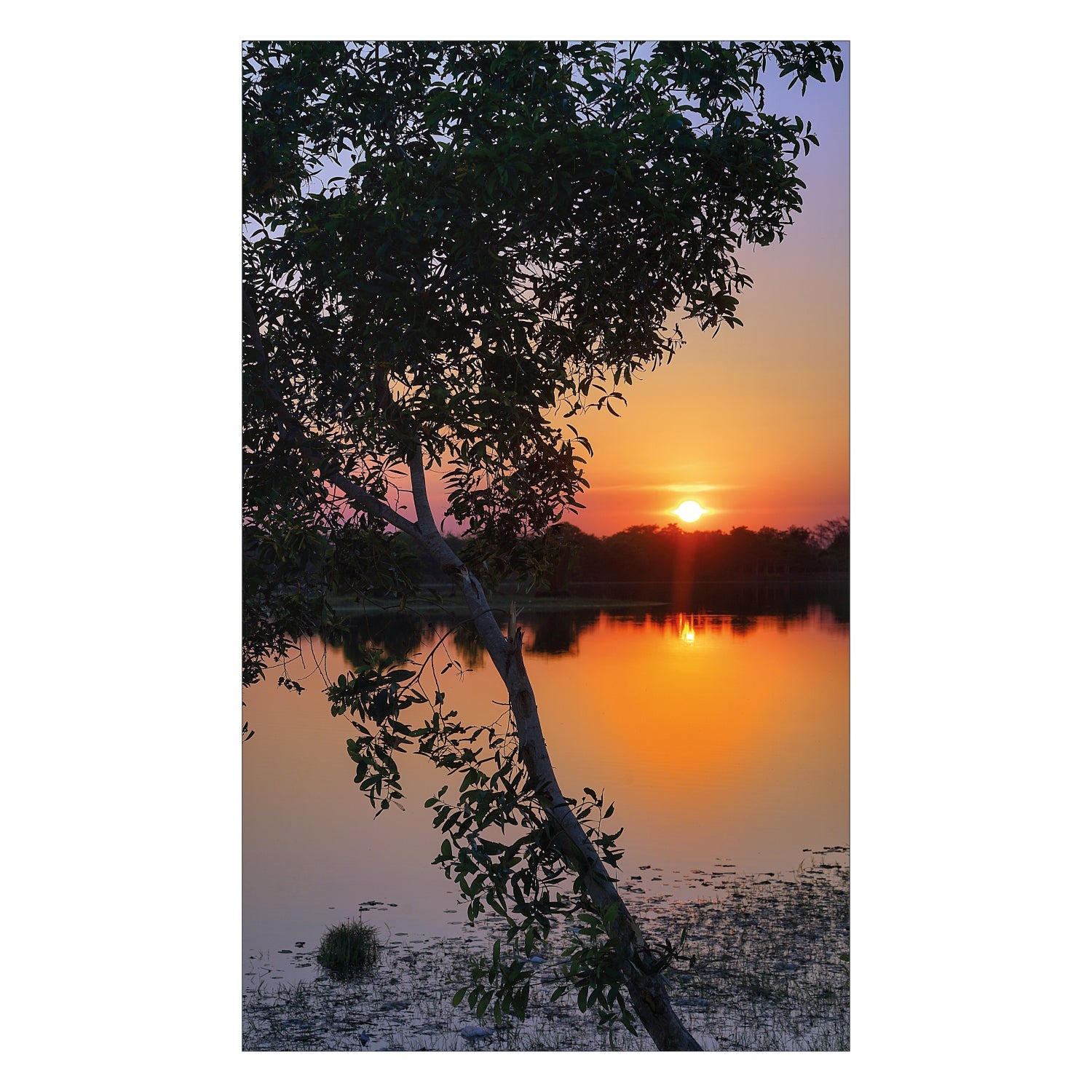 Duschrückwand nach maß