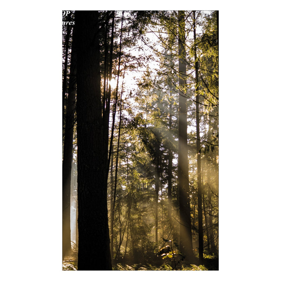 Duschrückwand nach maß