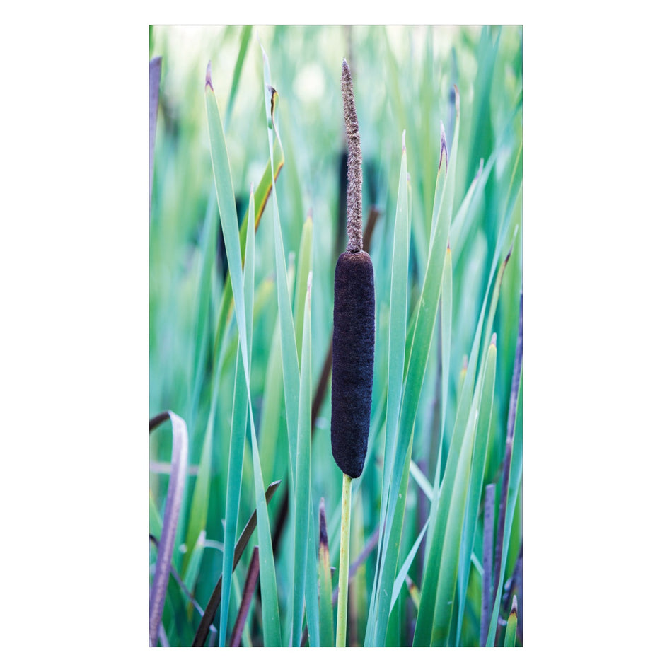 Duschrückwand nach maß