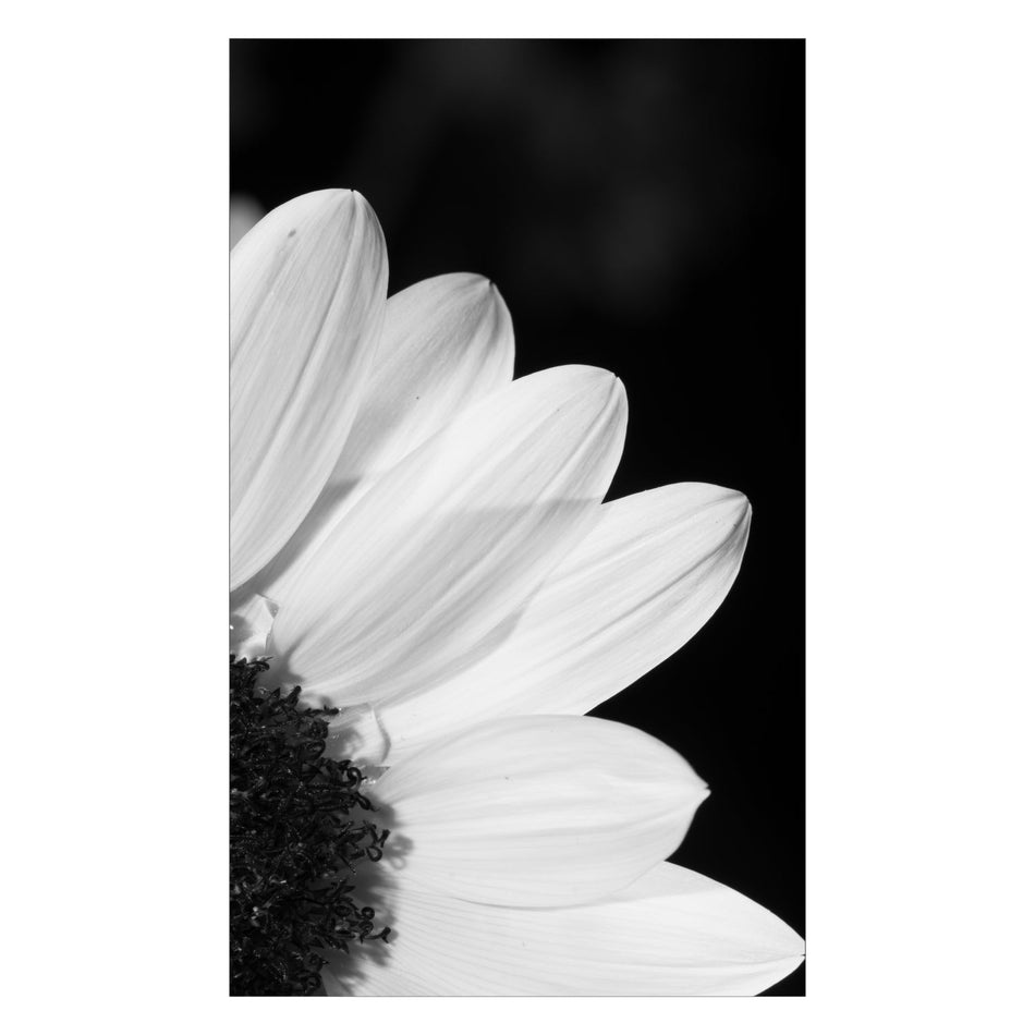 Duschrückwand nach maß