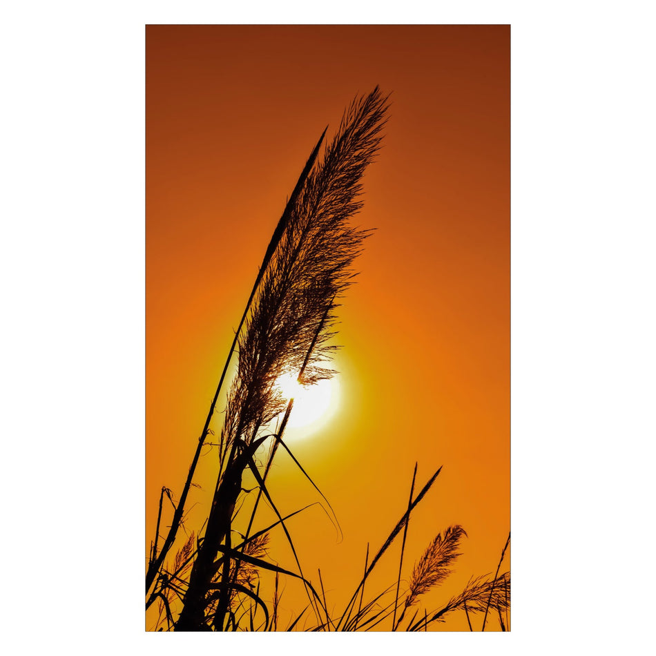 Duschrückwand nach maß