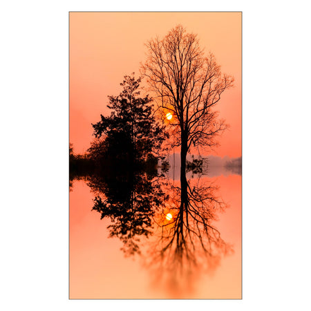 Toilettenrückwand nach maß