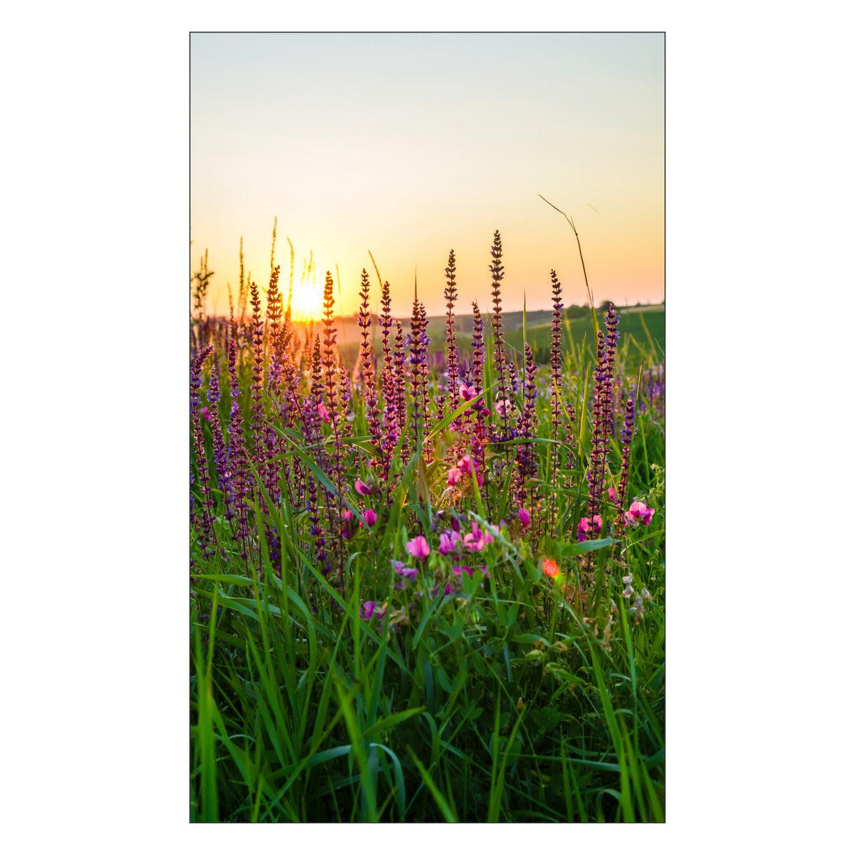 Duschrückwand nach maß