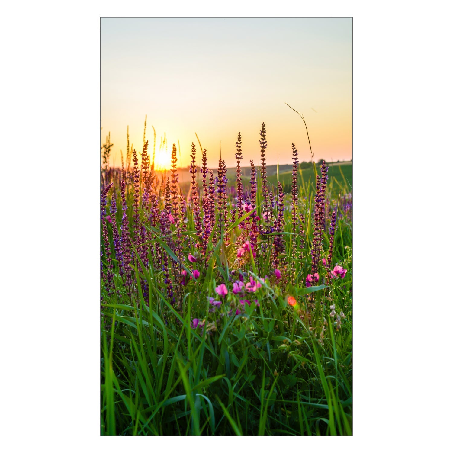 Duschrückwand nach maß