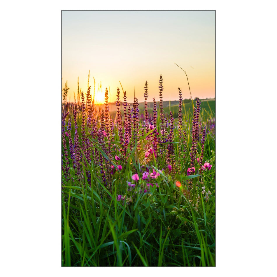 Duschrückwand nach maß