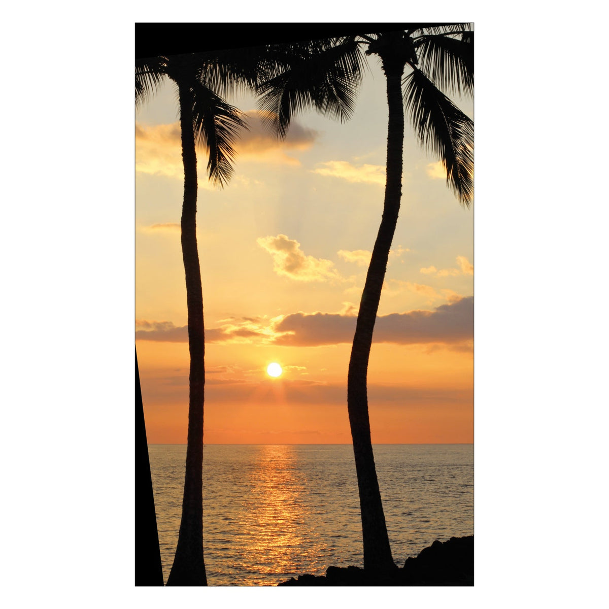 Duschrückwand nach maß