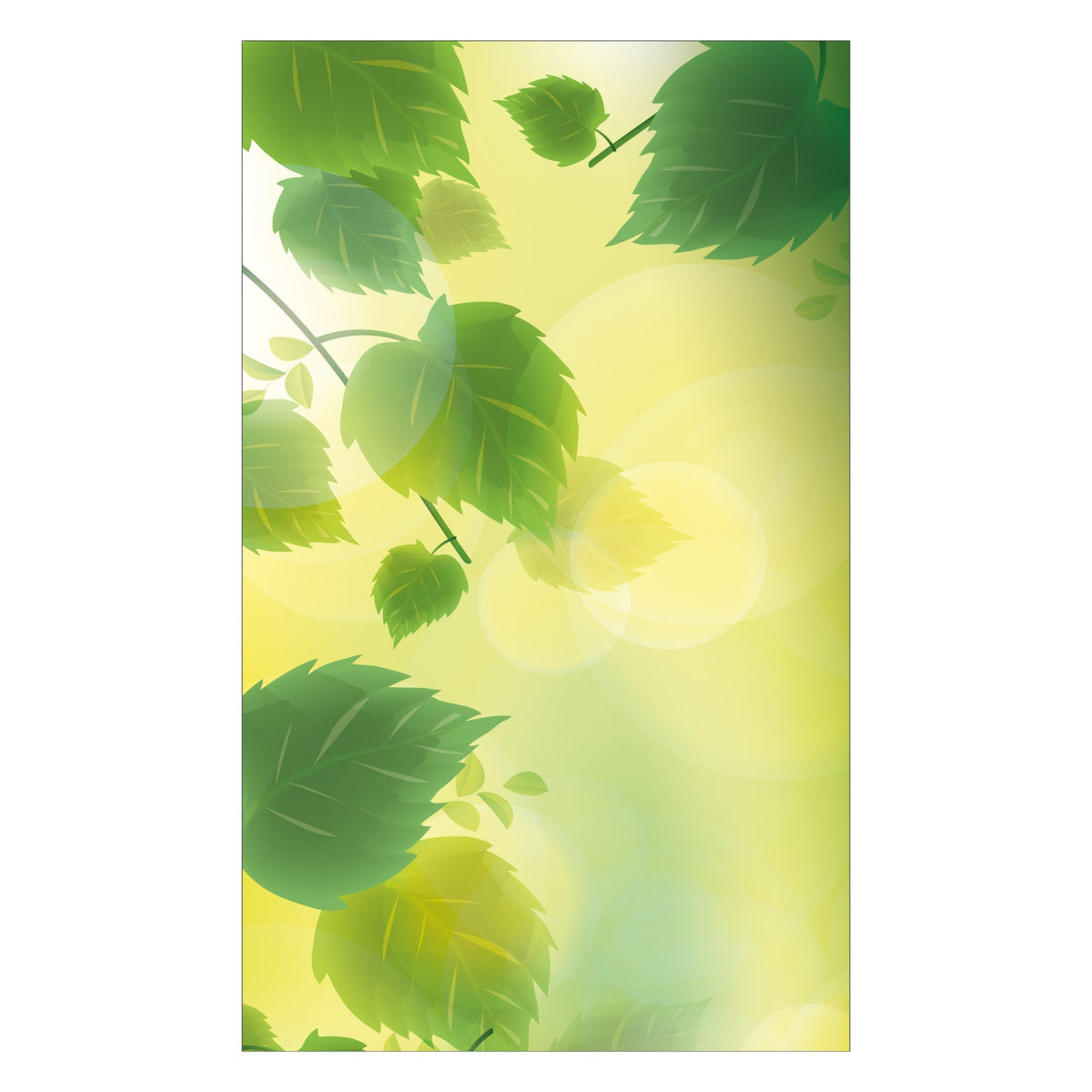 Duschrückwand nach maß