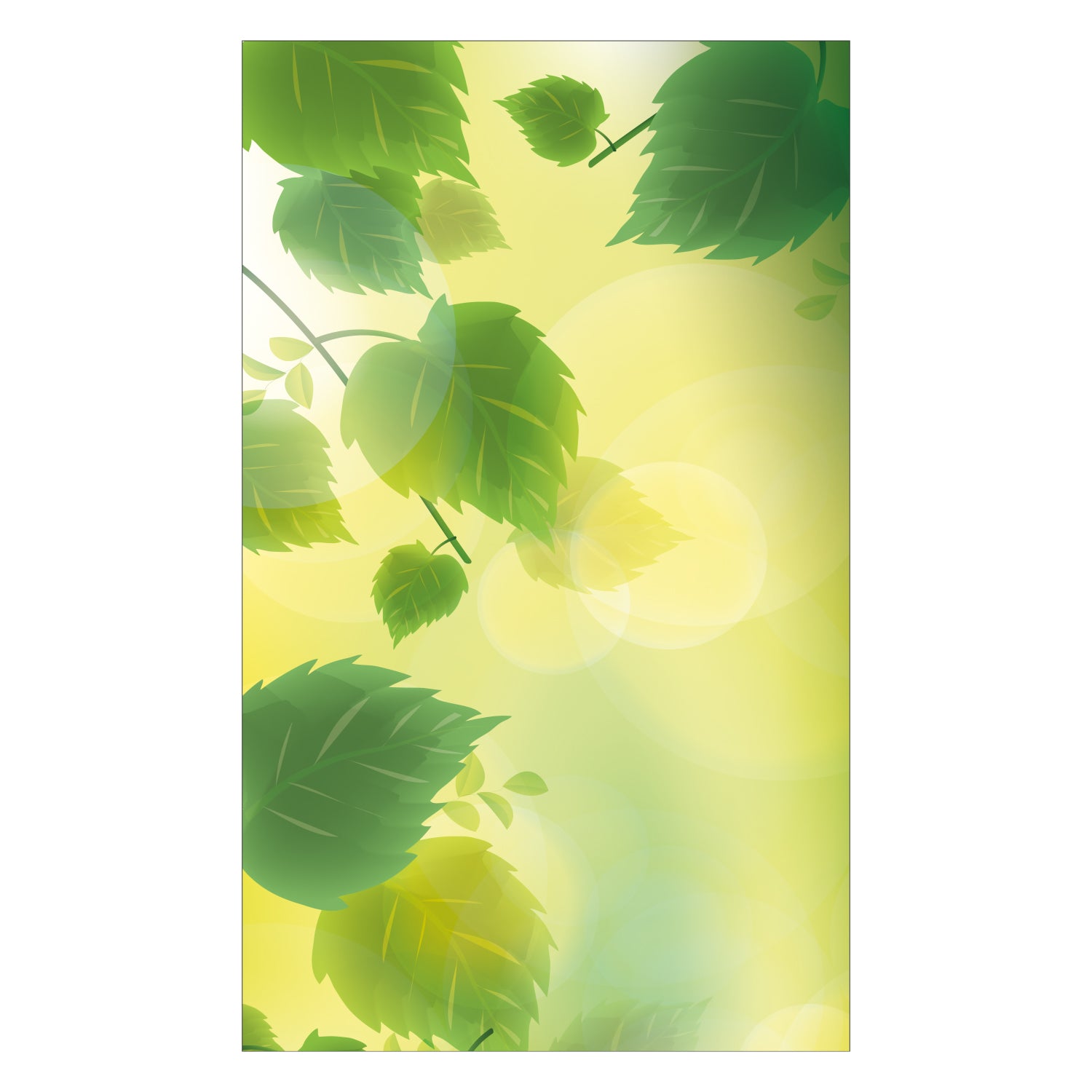 Duschrückwand nach maß