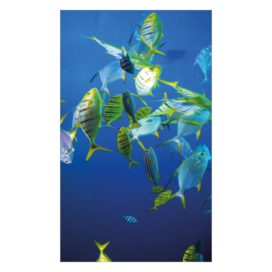 Duschrückwand nach maß