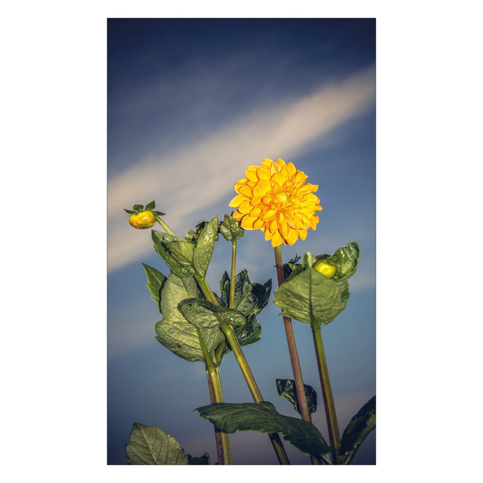 Duschrückwand nach maß