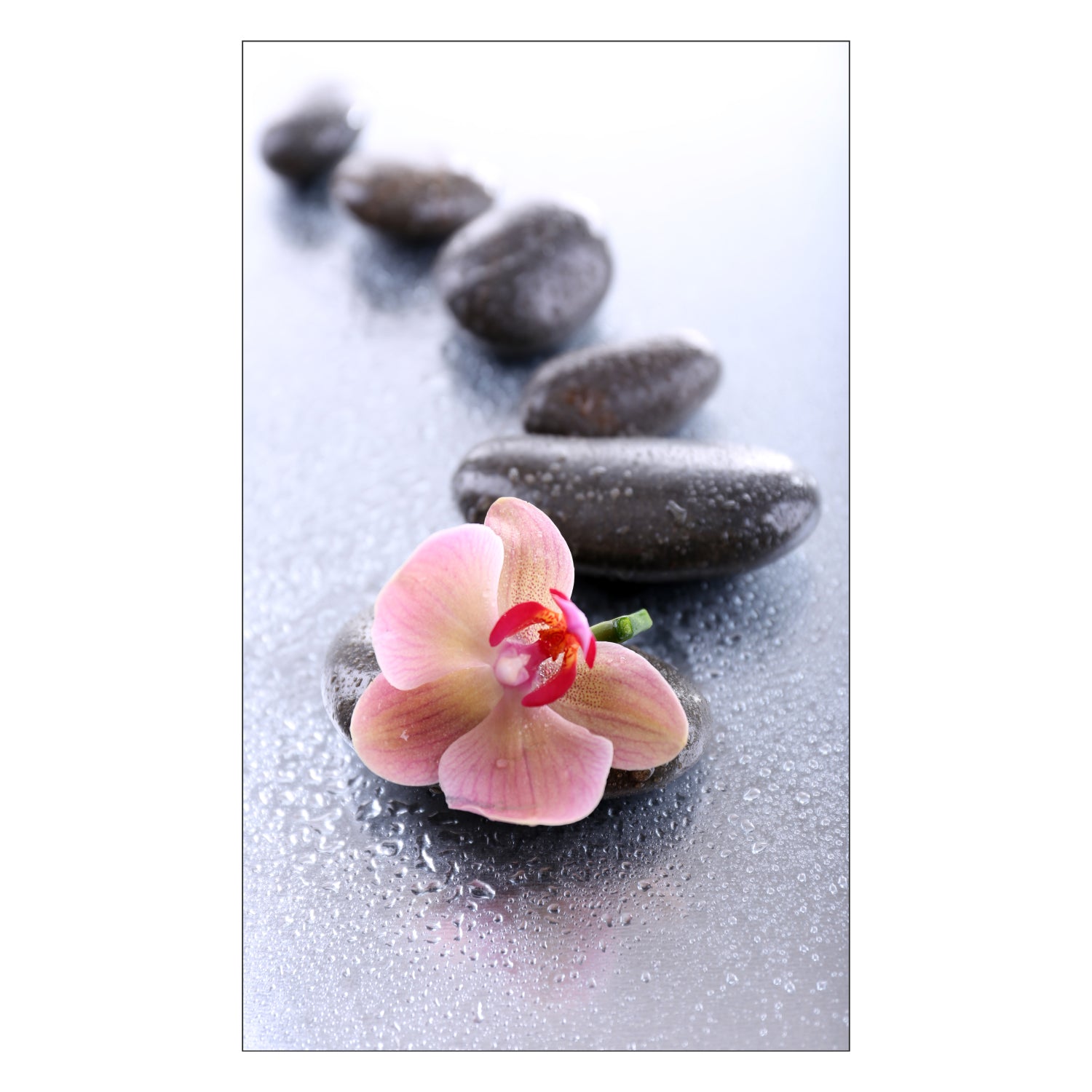 Duschrückwand nach maß