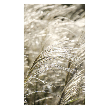 Duschrückwand nach maß