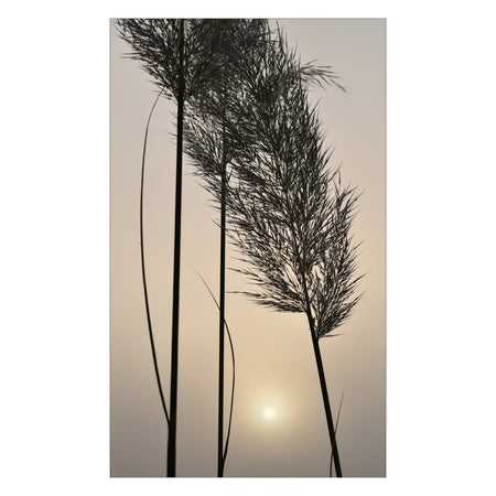 Duschrückwand nach maß