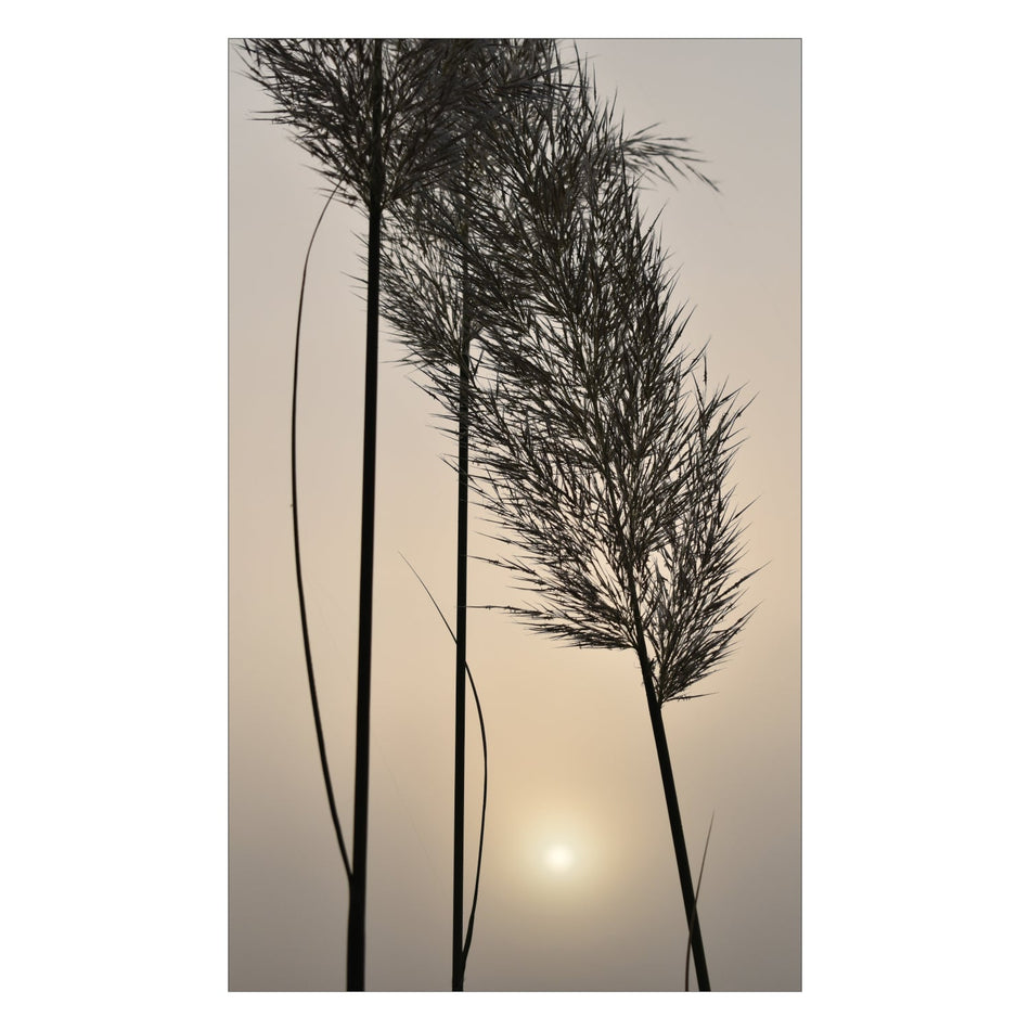 Duschrückwand nach maß