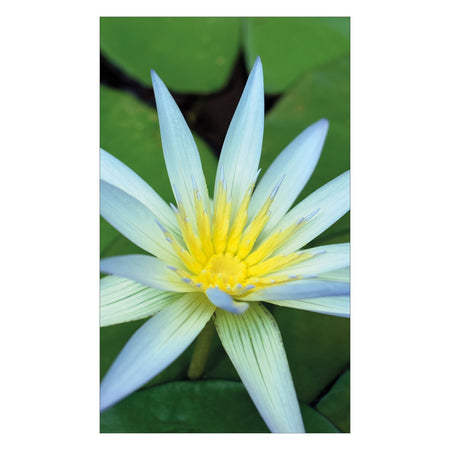 Duschrückwand nach maß