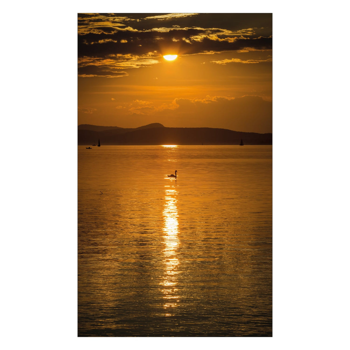 Duschrückwand nach maß