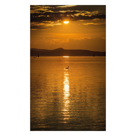 Duschrückwand nach maß