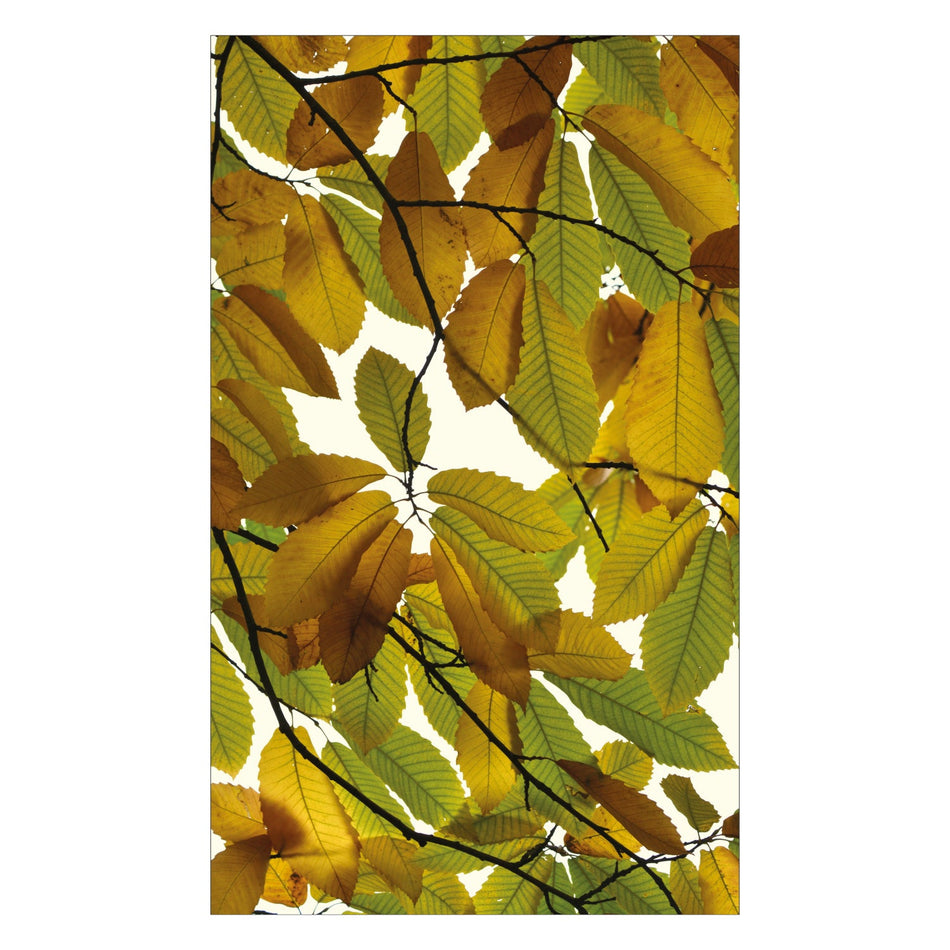 Duschrückwand nach maß