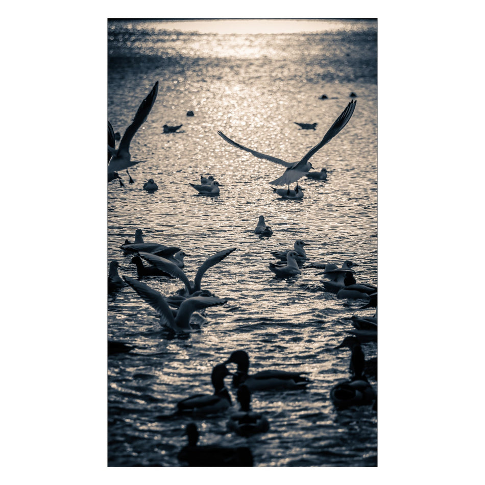 Duschrückwand nach maß