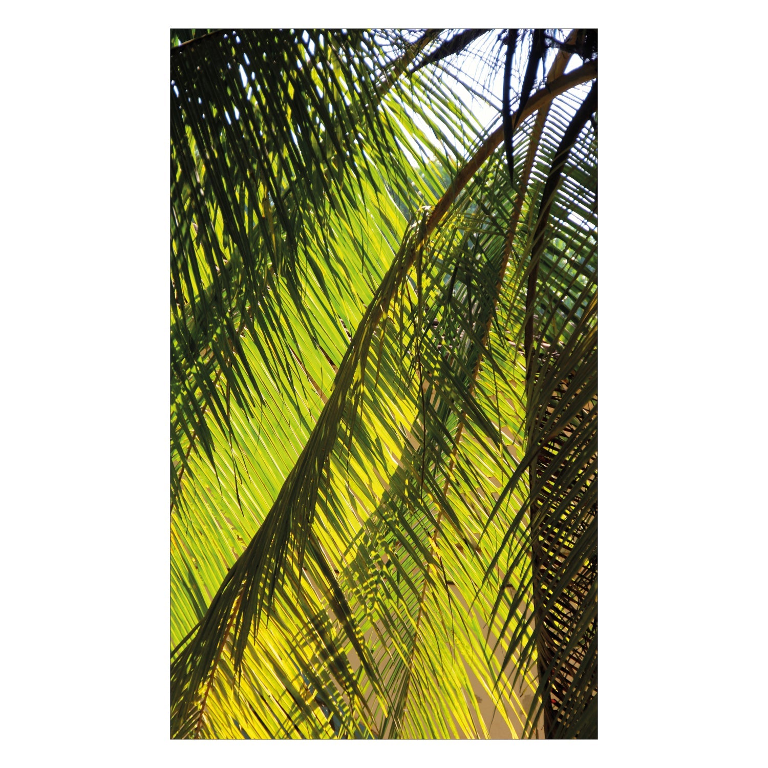 Duschrückwand nach maß