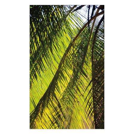 Duschrückwand nach maß