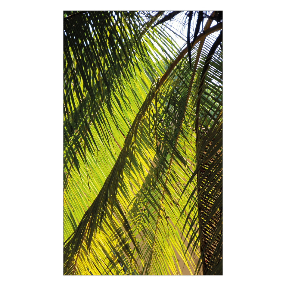 Duschrückwand nach maß