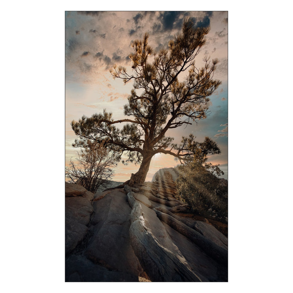 Duschrückwand nach maß