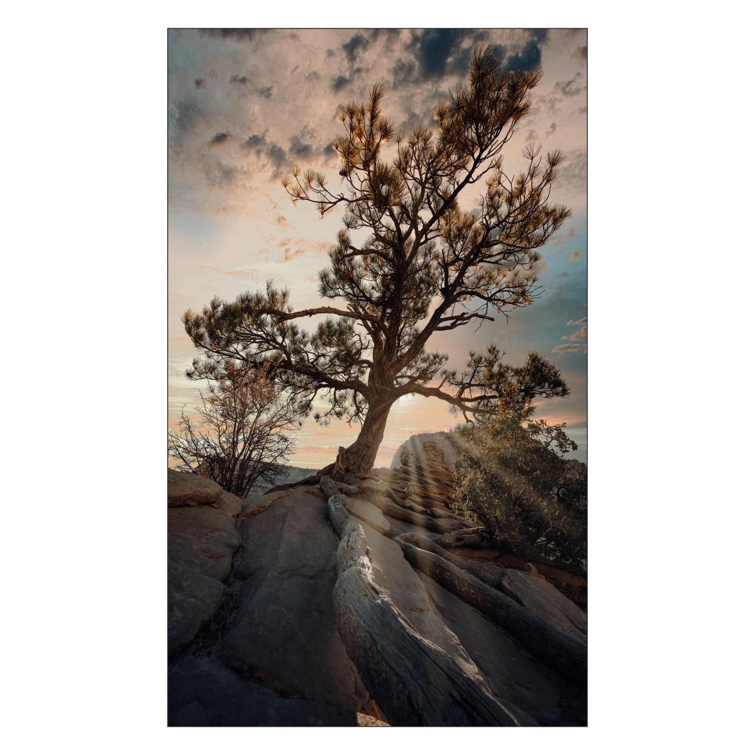 Toilettenrückwand nach maß