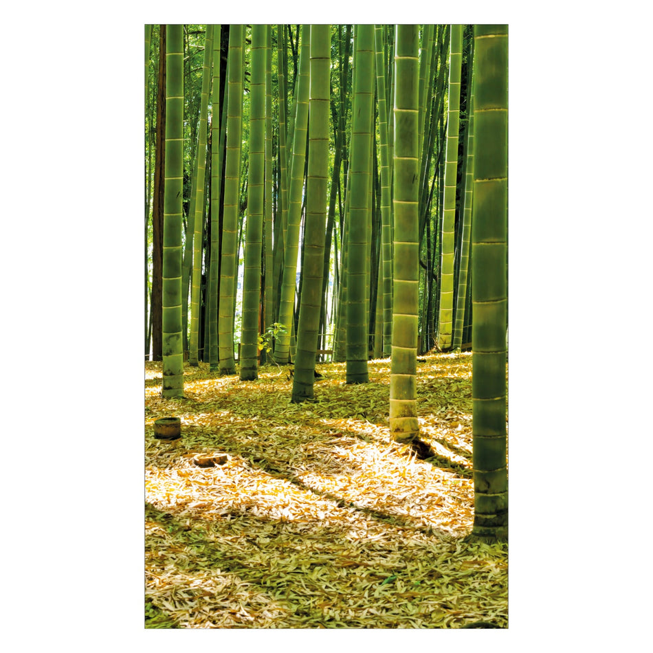 Duschrückwand nach maß