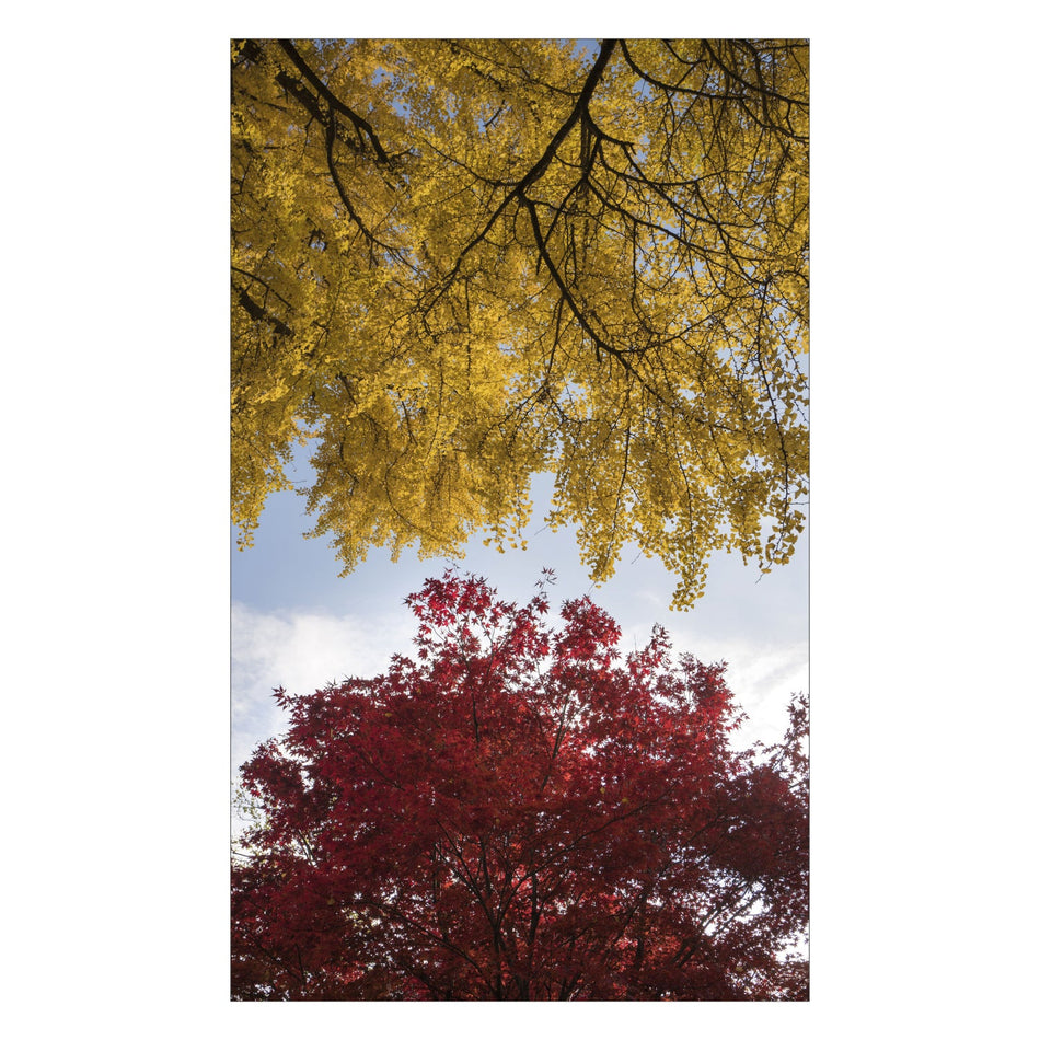 Duschrückwand nach maß