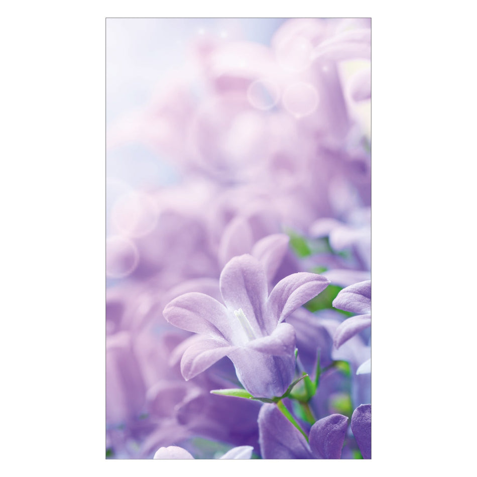 Duschrückwand nach maß