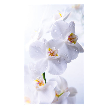 Duschrückwand nach maß